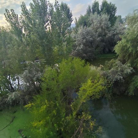The Heaven Tree 호텔 Srīnagar 외부 사진